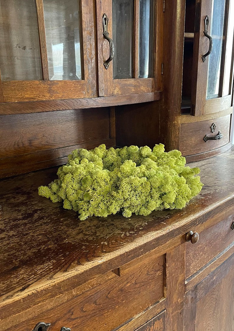 Stabilizuotų samanų vainikas